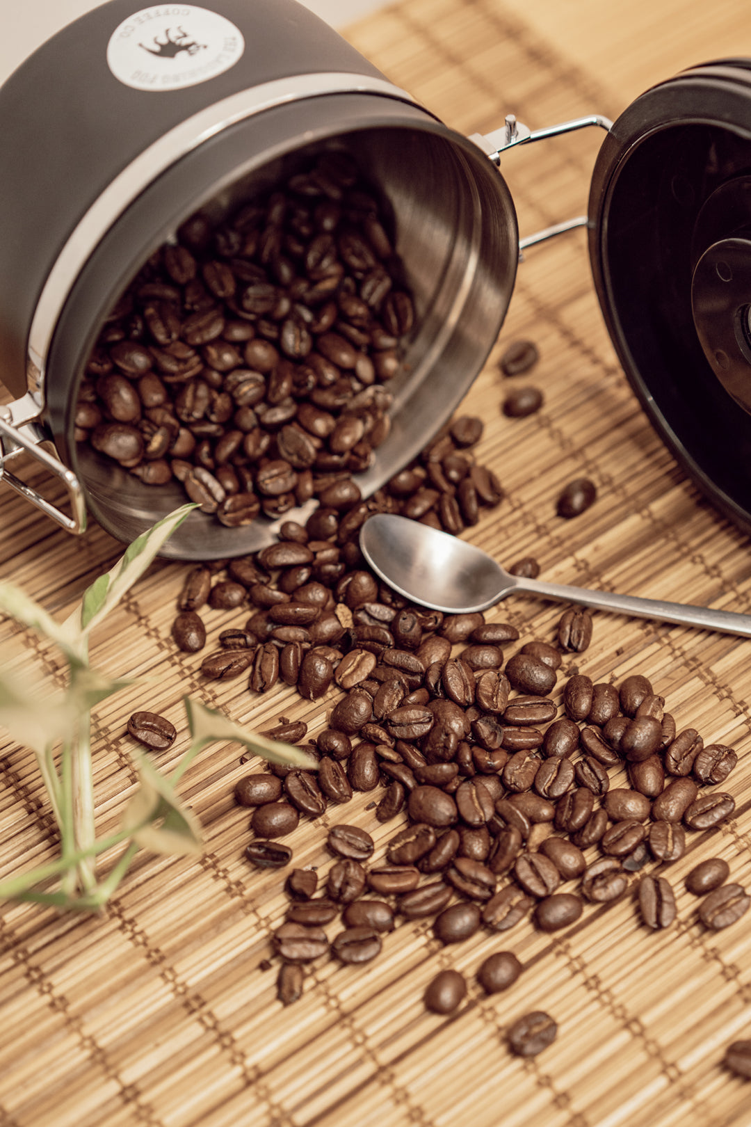 The Quality Myth: Revealing the Truth Behind Specialty Coffee vs “100% Arabica”