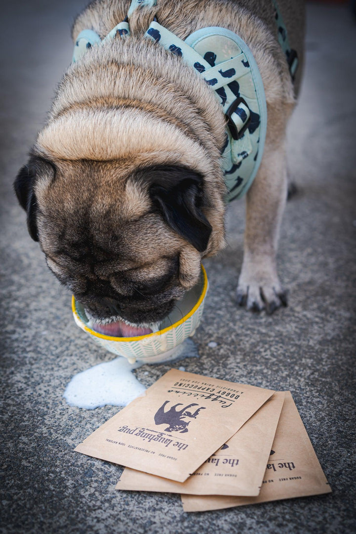 Puggiccino 5 pack (Doggy Cappuccino's)